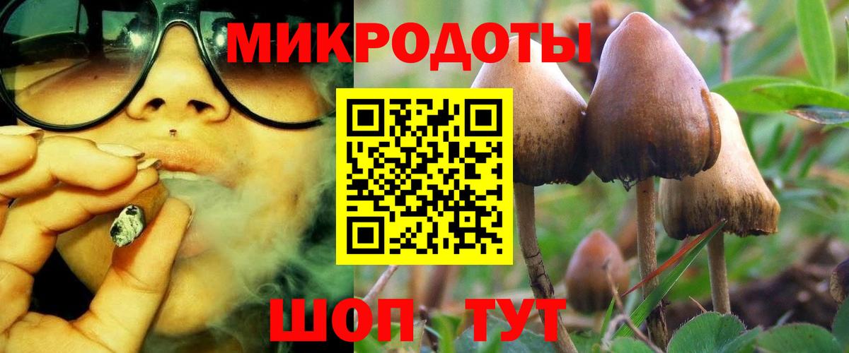 Шахты  Галлюциногенные грибы Cubensis  Вход с VPN  Галлюциногенные грибы Magic Shrooms 